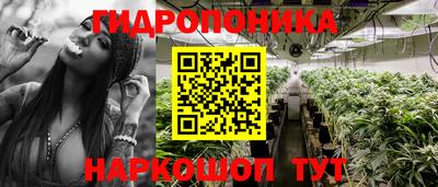 spice Краснодар